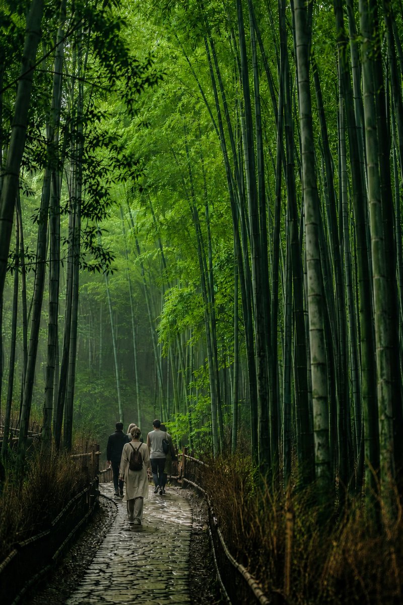 Small group walking through a bamboo path