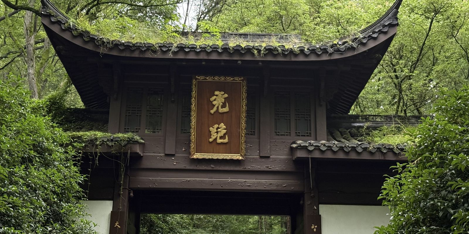 A timber gateway in the woods at Hupao, Hangzhou