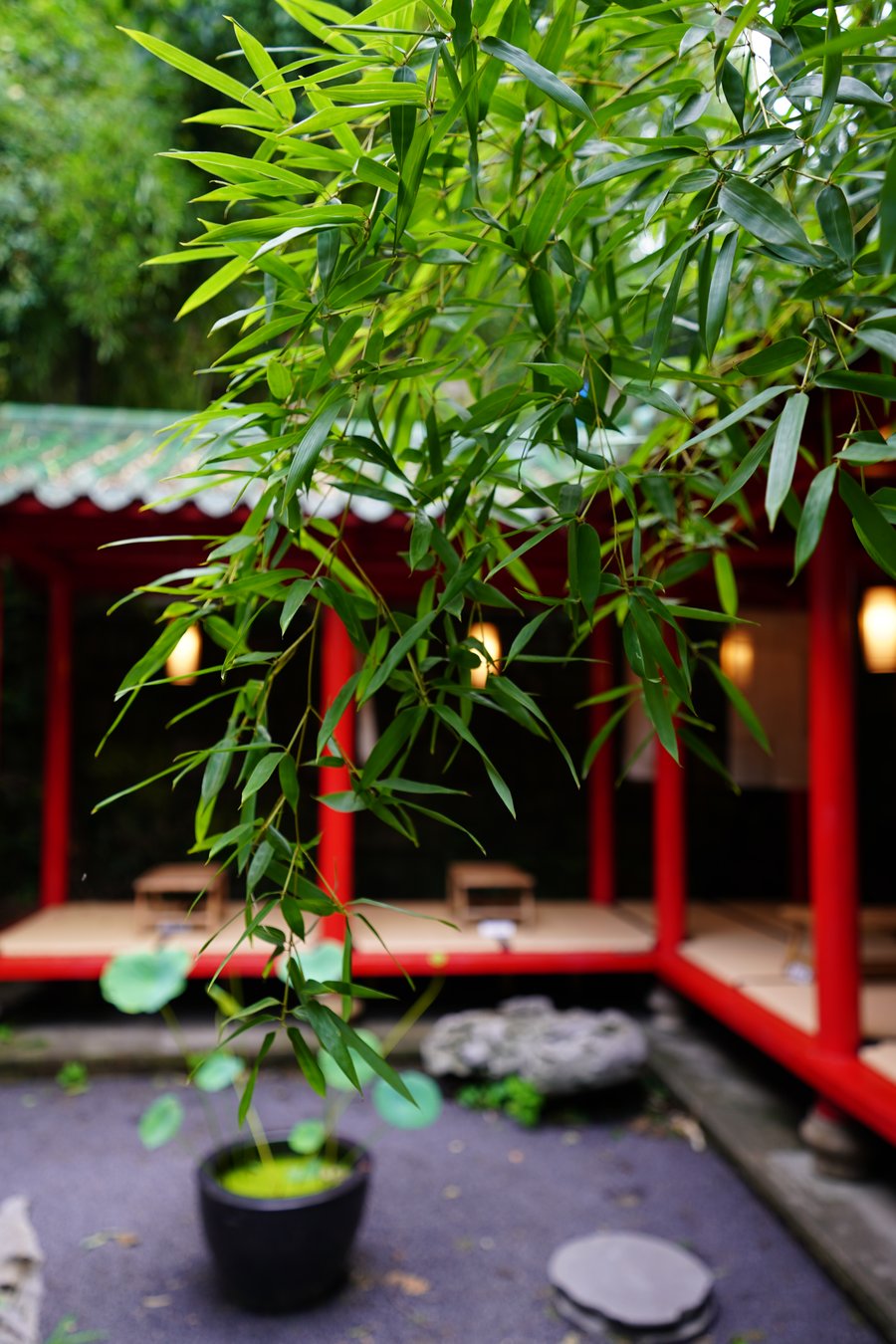 Bamboo growing in a quiet stone courtyard beside a red pavilion