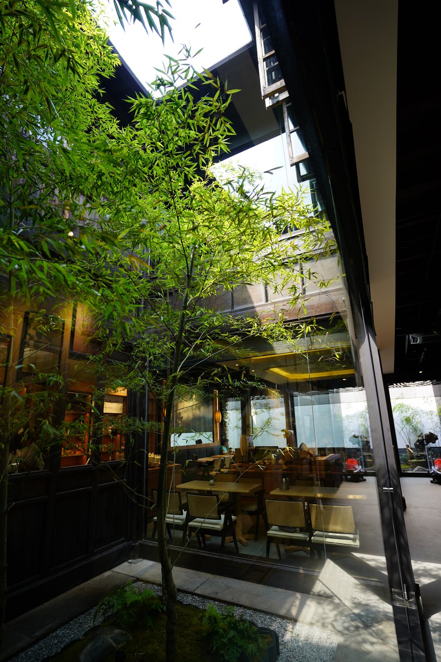 A tree growing through a skylight in a Qinghefang courtyard interior