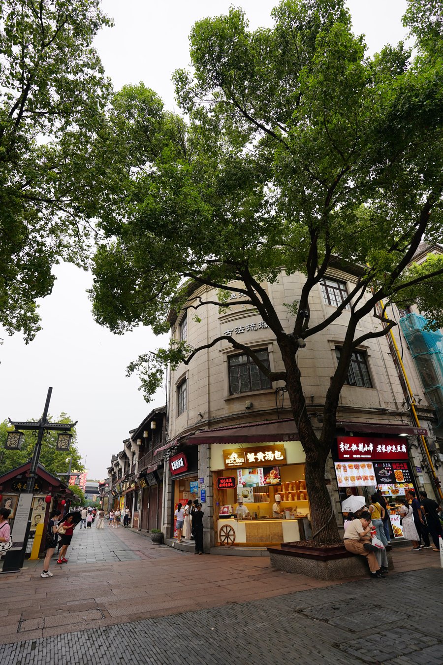 Pedestrians walking the tree-lined pedestrian street of Qinghefang