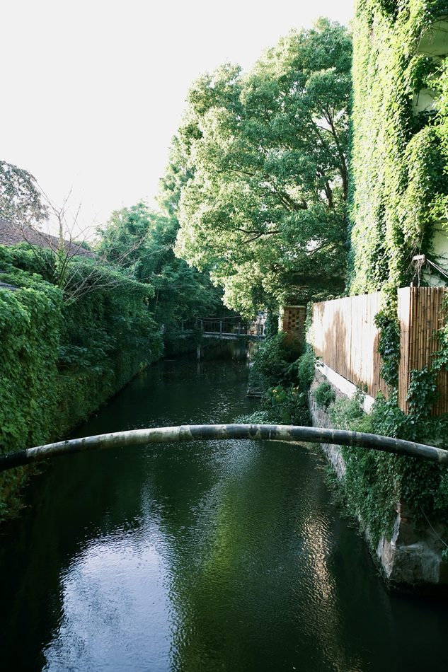 A quiet green stretch of canal enclosed by trees