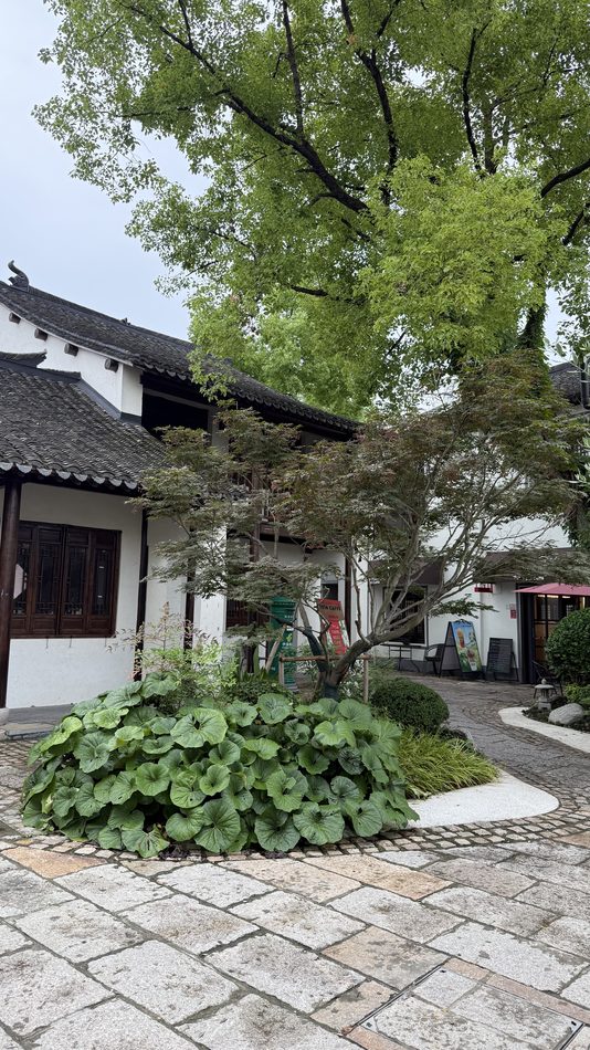 A planted courtyard with stone paving between white-walled houses