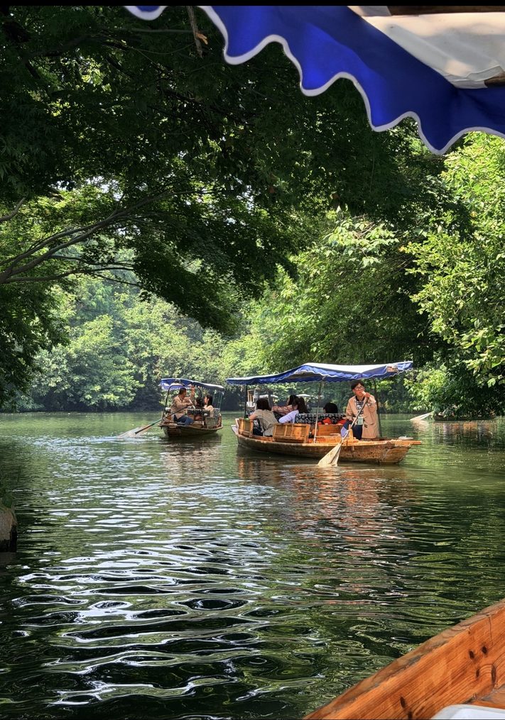 A hand-rowed boat passing beneath willows on a West Lake waterway