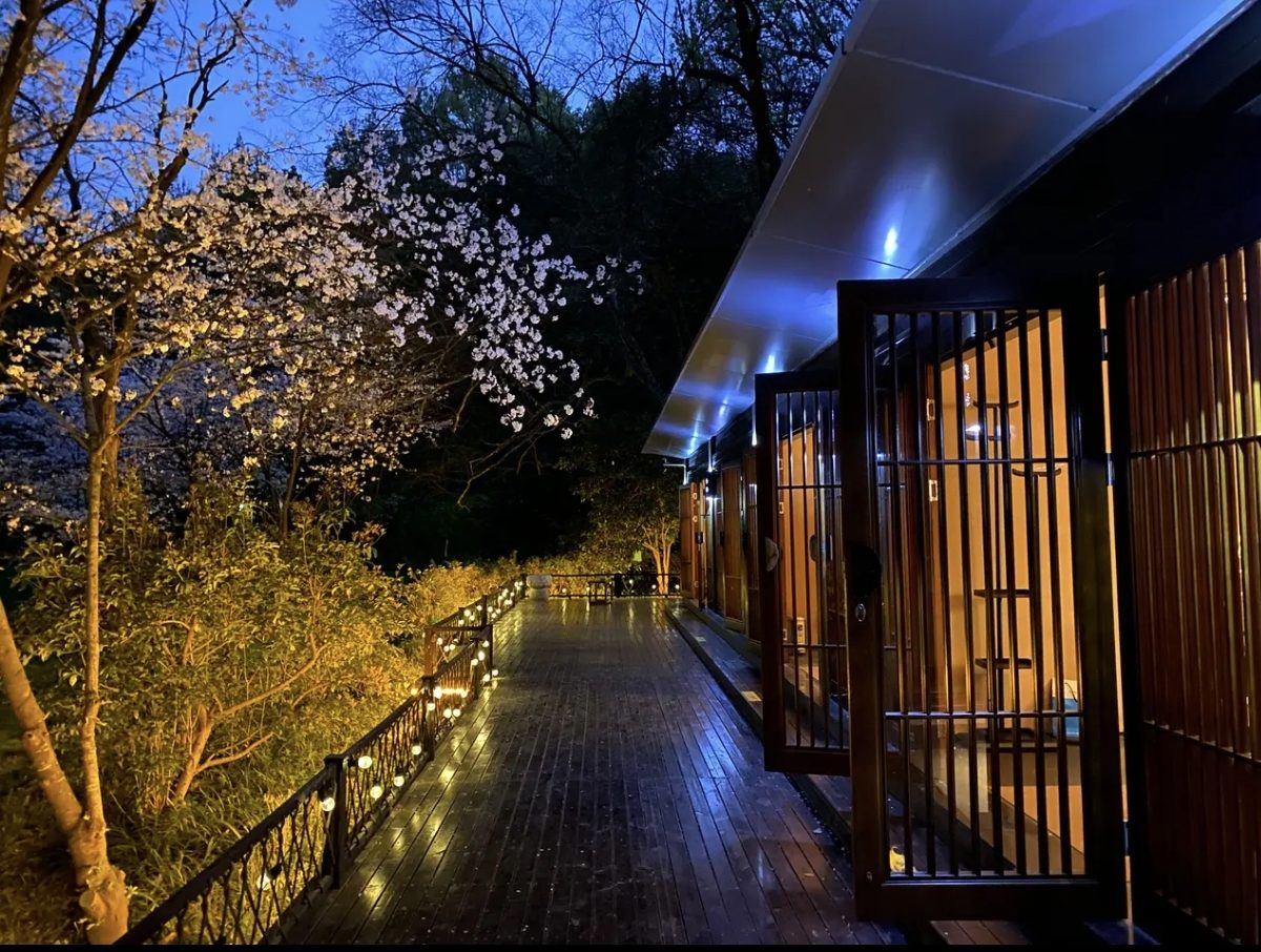 A lantern-lit timber walkway lined with blossoming trees at night