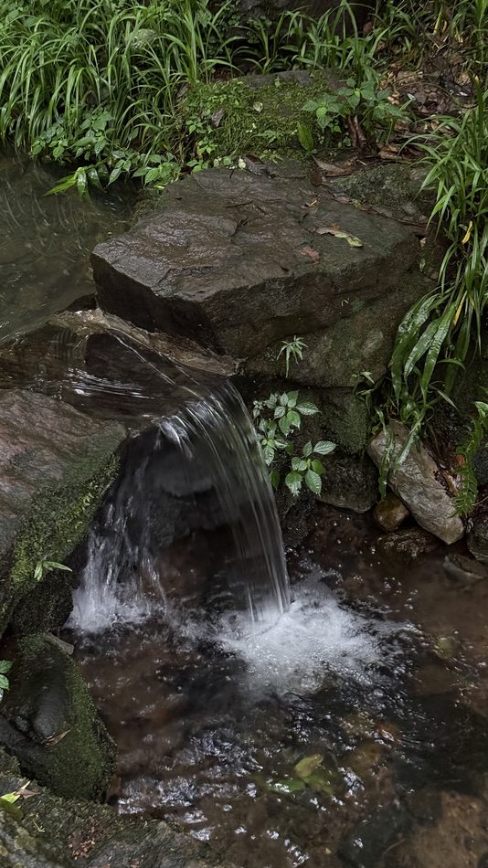 Spring water falling over mossy rock into a pool