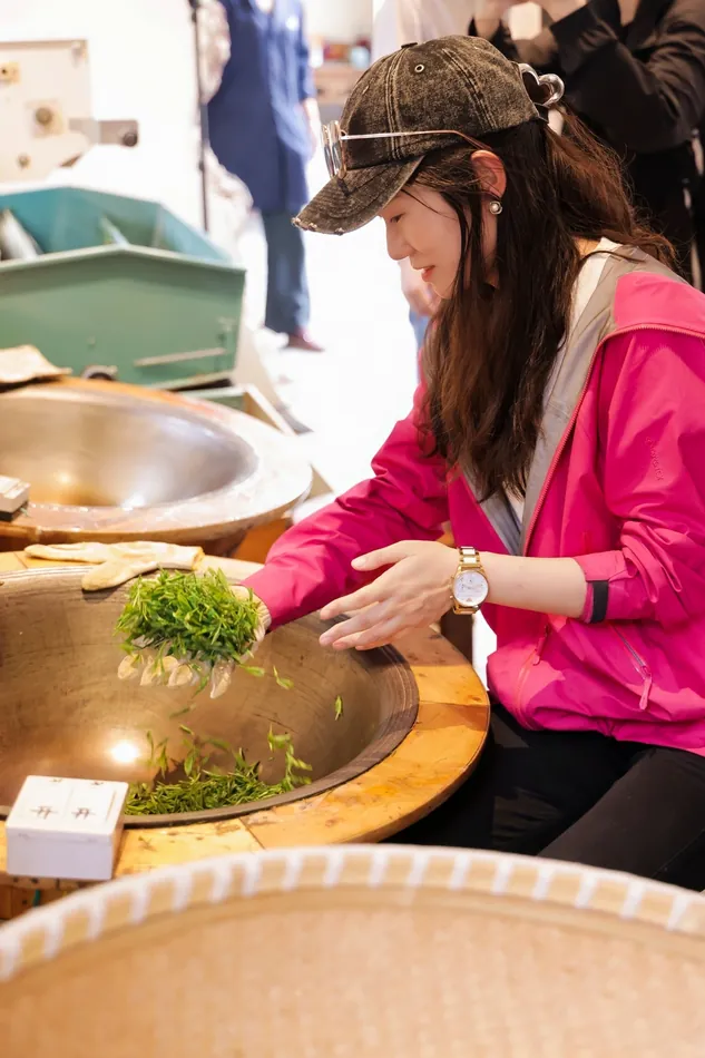 Fresh tea leaves being turned by hand in a heated roasting wok