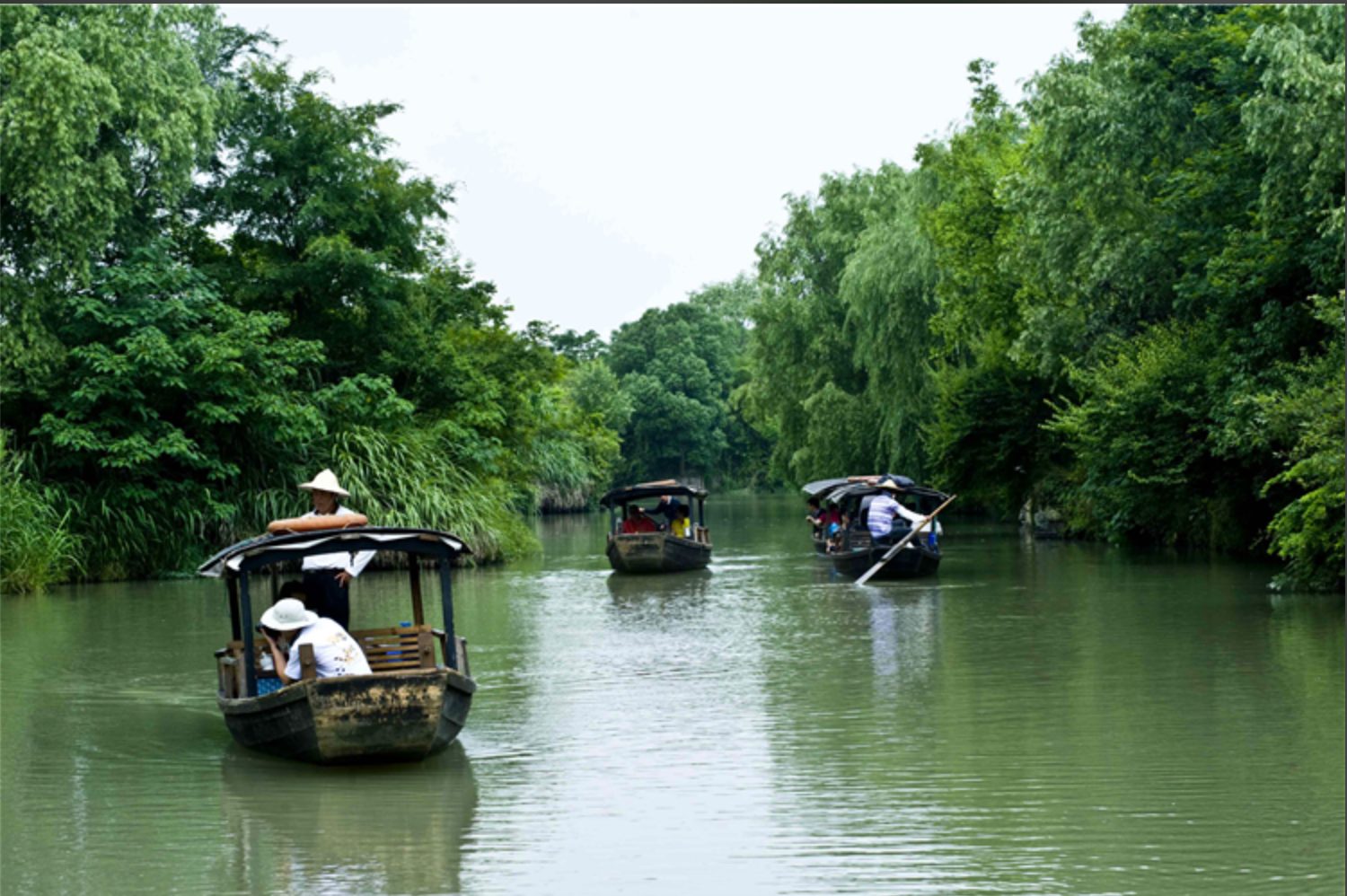 Hand-rowed boats on a willow-lined backwater of West Lake, Hangzhou