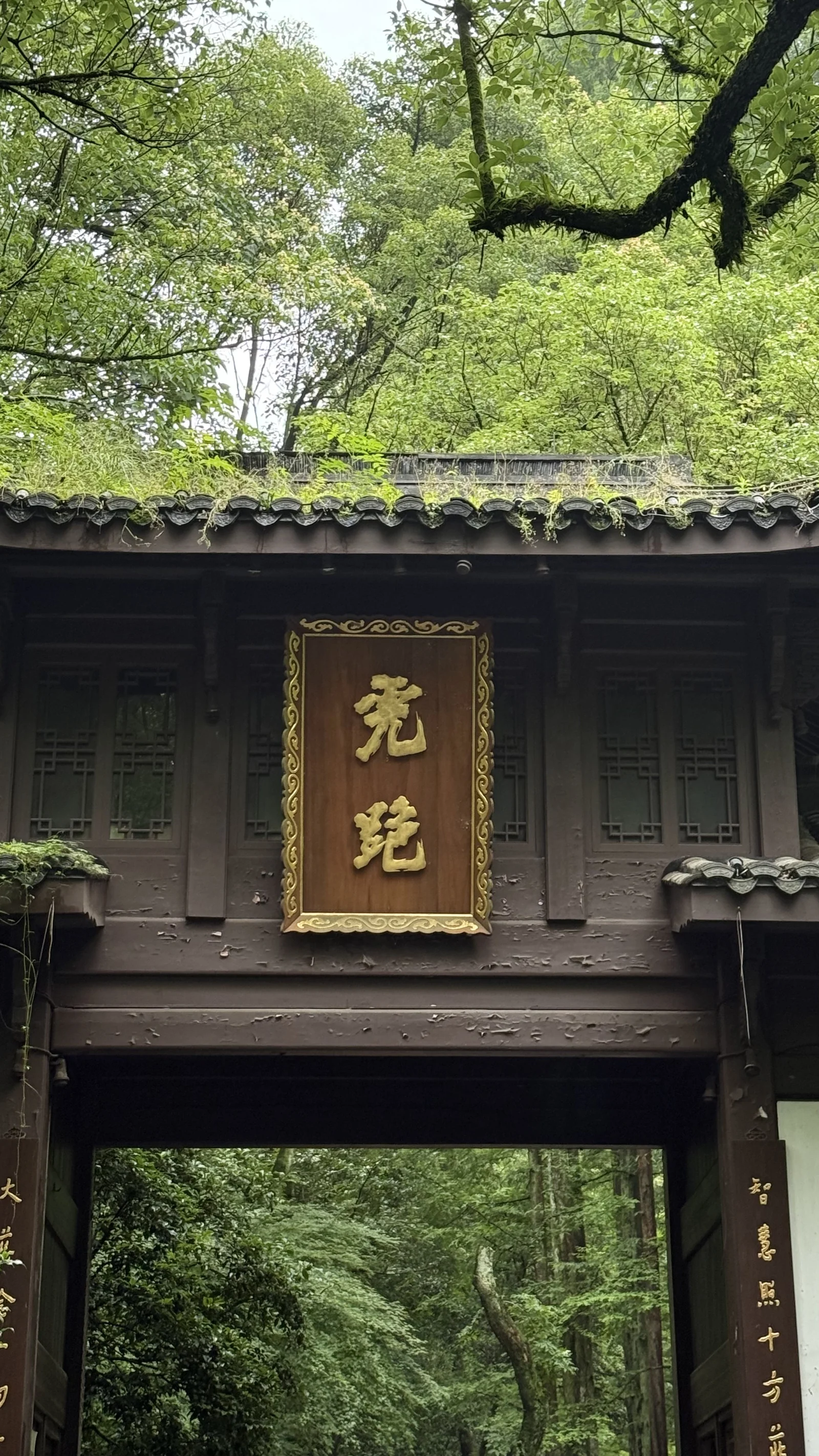 A carved timber temple gateway beneath a canopy of green trees in Hangzhou