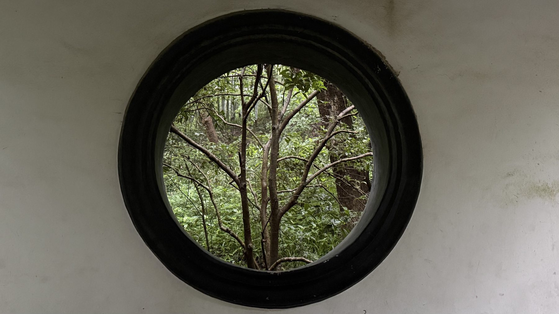 A circular moon window in a white wall framing woodland